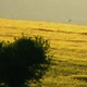 Illustration for article titled "I Touched A Crop-Circle-Making UFO," Says Investigator